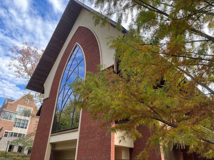 cypress with the chapel windows in the background